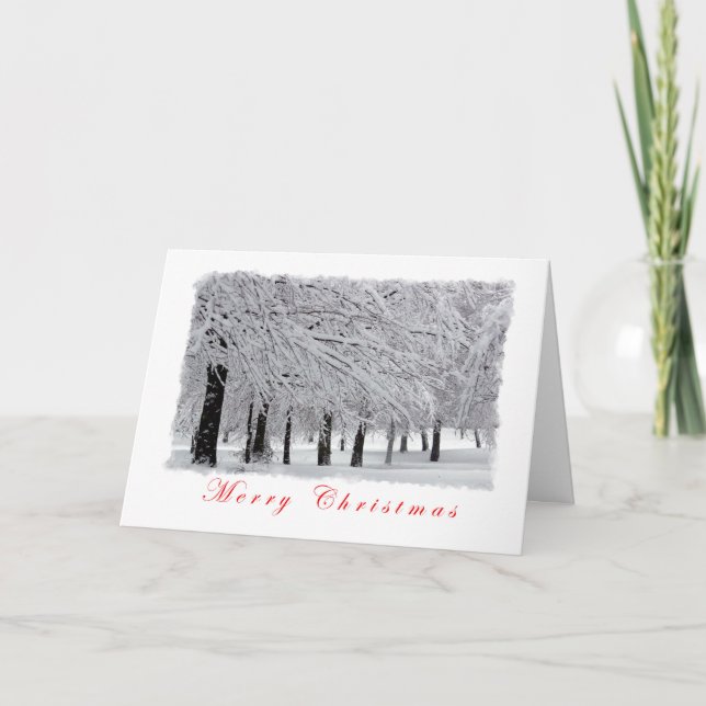 Snow and Trees Merry Christmas Holiday Card (Front)