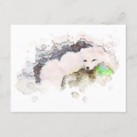 *~* Snow Arctic White Polar Fox Ap18 Wildlife