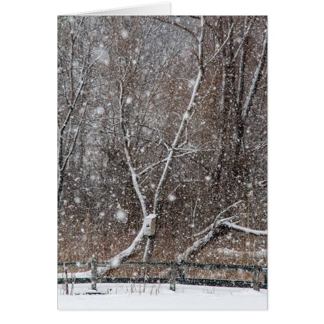 Snow At the Park (Front)