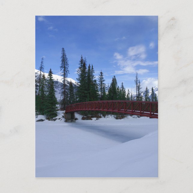 Snow At The Simpson River Trailhead Kootenay River Postcard (Front)