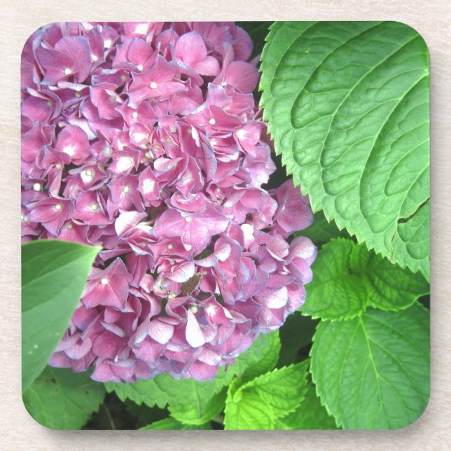 Snow Ball Coaster (Front)