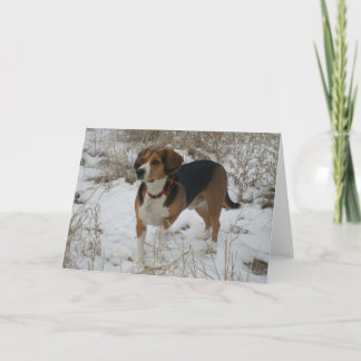 Snow Beagle Winter Greeting Card - Hunting Hound