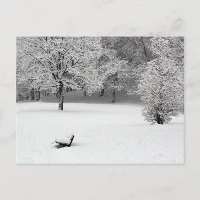 Snow bench and trees postcard (Front)