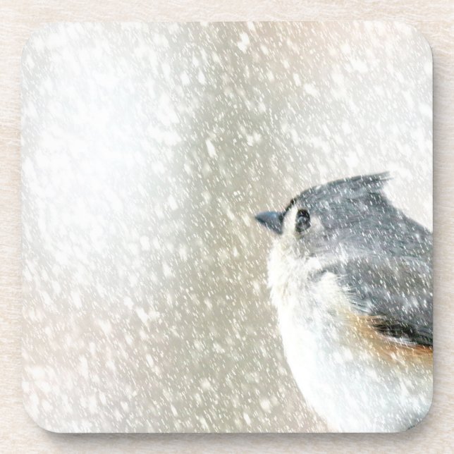 Snow Bird Coaster (Front)