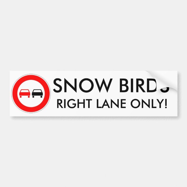 Snow Birds Bumper Sticker (Front)