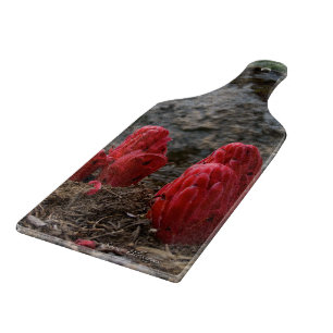 Snow Blossoms Cutting Board