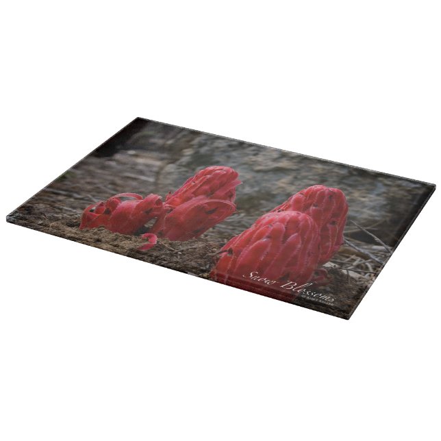 Snow Blossoms Cutting Board (Corner)