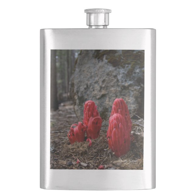 Snow Blossoms Hip Flask (Front)