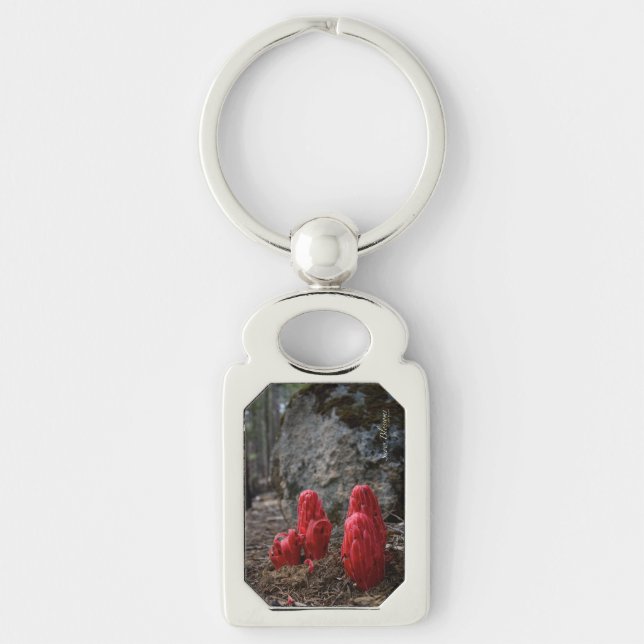 Snow Blossoms Key Ring (Front)