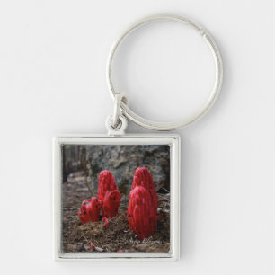 Snow Blossoms Key Ring
