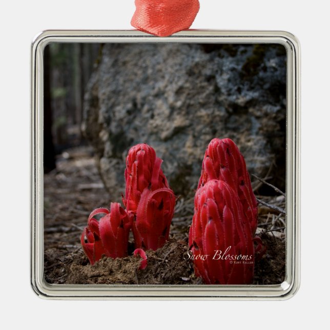 Snow Blossoms Metal Tree Decoration (Front)