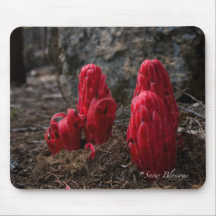 Snow Blossoms Mouse Pad