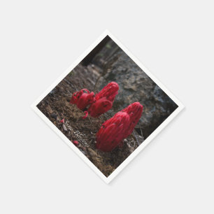 Snow Blossoms Napkin