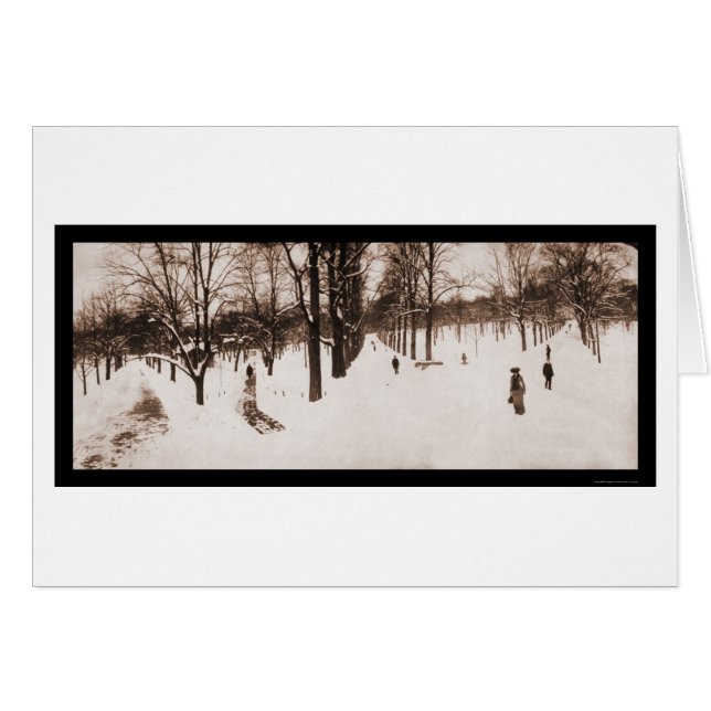 Snow Boston Common, MA Photo 1904 (Front Horizontal)