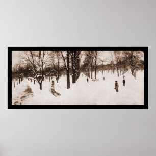 Snow Boston Common, MA Photo 1904 Poster