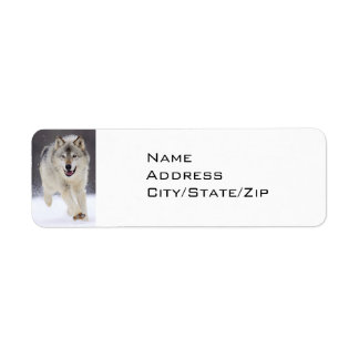 SNOW BOUND GREY WOLF RETURN ADDRESS LABEL