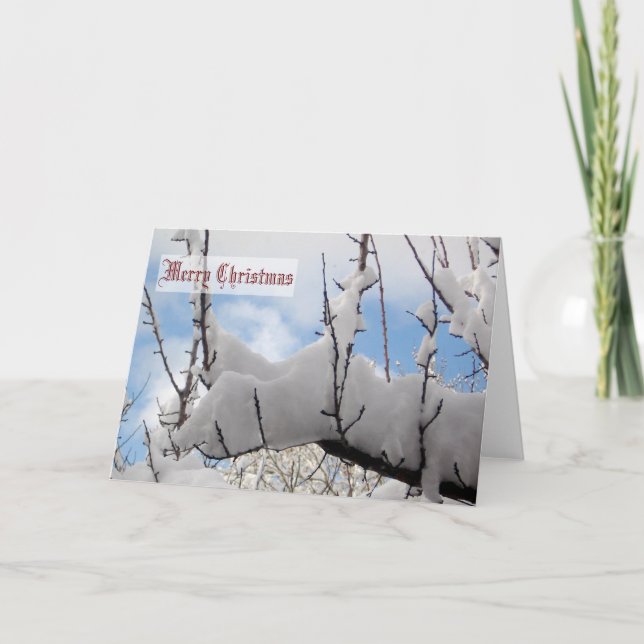 Snow Branch Christmas Card (Front)
