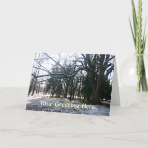 Snow Branches Greeting Card