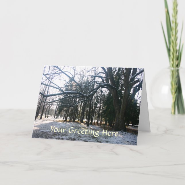 Snow Branches Greeting Card (Front)