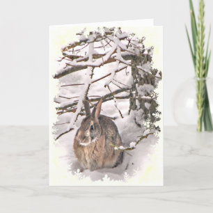Snow Bunny Easter Holiday Card