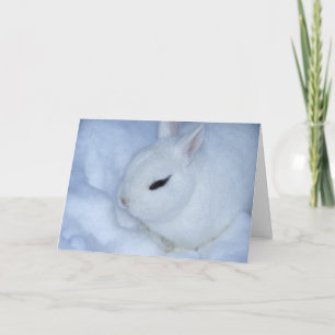 Snow Bunny Holiday Card