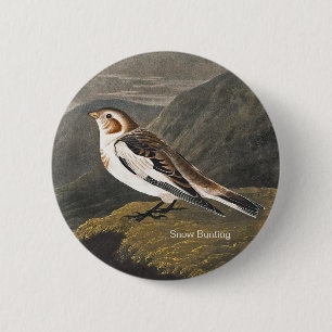 Snow Bunting by John James Audubon, Birders Bird 6 Cm Round Badge
