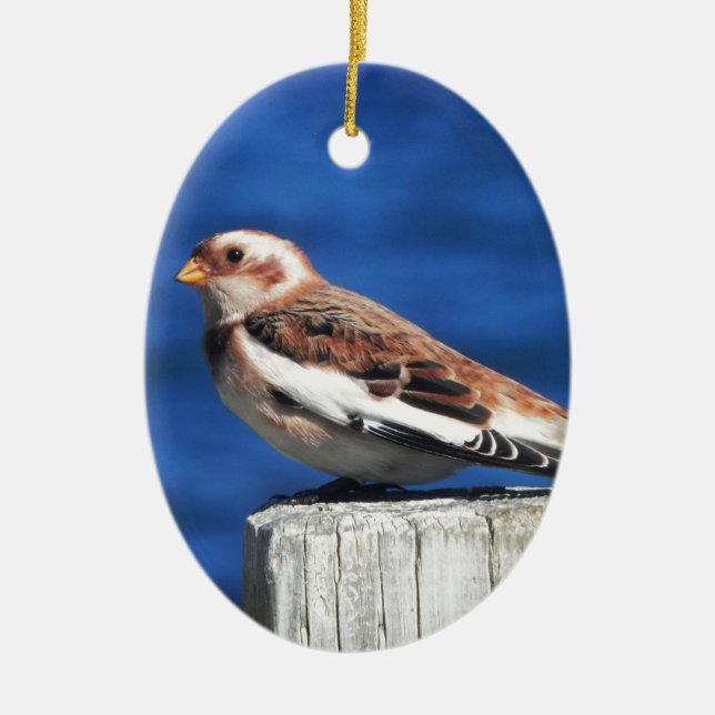 Snow Bunting Ceramic Tree Decoration (Front)