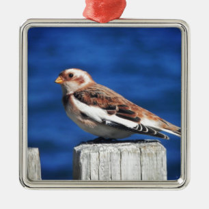 Snow Bunting Metal Tree Decoration