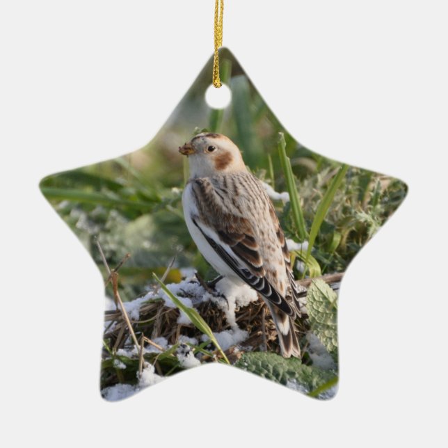 Snow Bunting Ornament (Front)