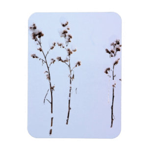 Snow Burrs Magnet