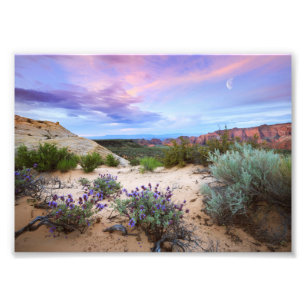 Snow Canyon Sunrise Wildflowers Landscape Photo Print