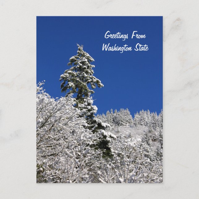 Snow Capped Mountain Greetings From Washington Postcard (Front)
