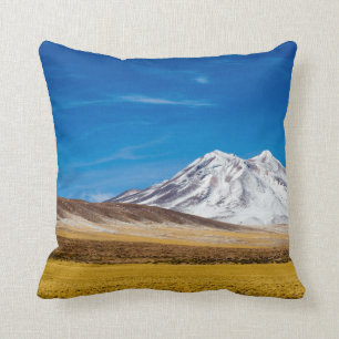 Snow - Capped Mountains And Puna Grassland Cushion