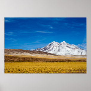 Snow - Capped Mountains And Puna Grassland Poster