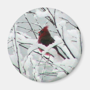 Snow Cardinal Magnet