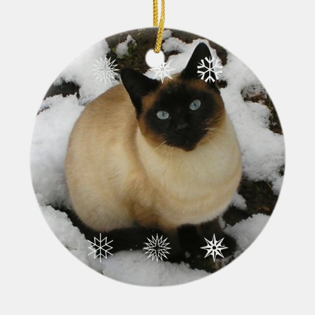 Snow Cat Ornament (Front)