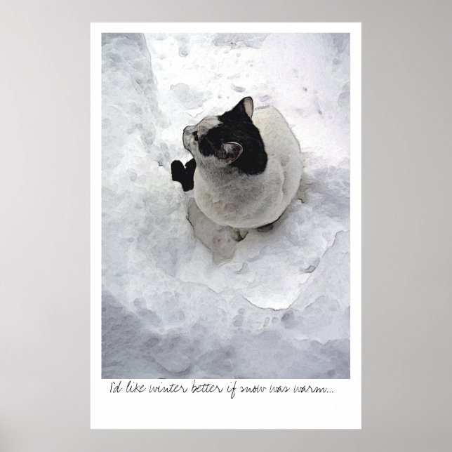 Snow Cat Poster (Front)