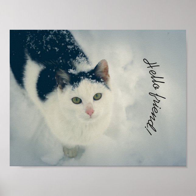 Snow cat poster (Front)