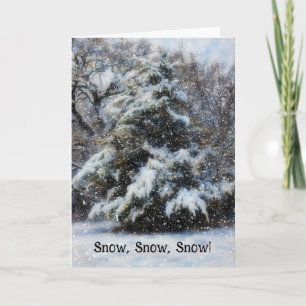 Snow Christmas Wishes Holiday Card