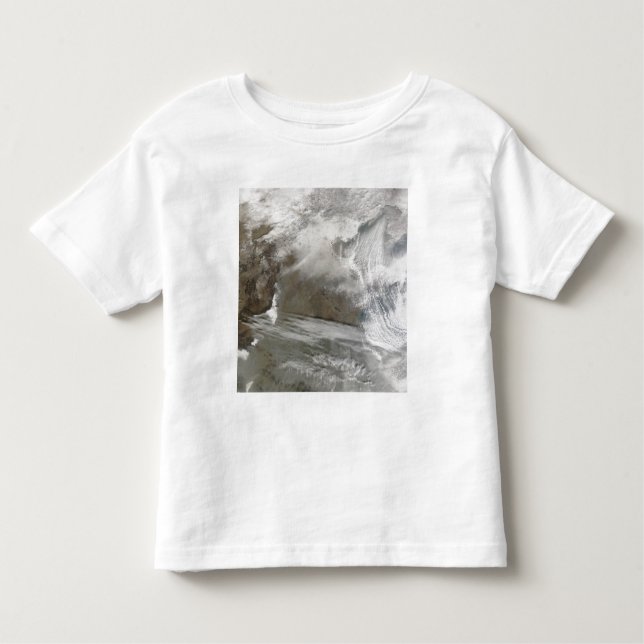Snow cover encircles Bo Hai Toddler T-Shirt (Front)