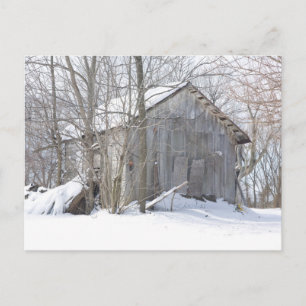 Snow Cover Postcard