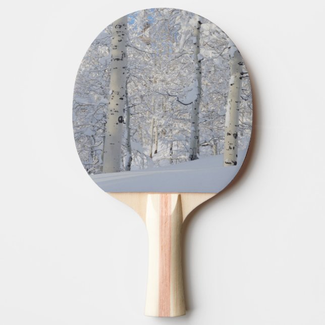 Snow-Covered Aspens, Beartrap-Desolation Ridge Ping Pong Paddle (Front)