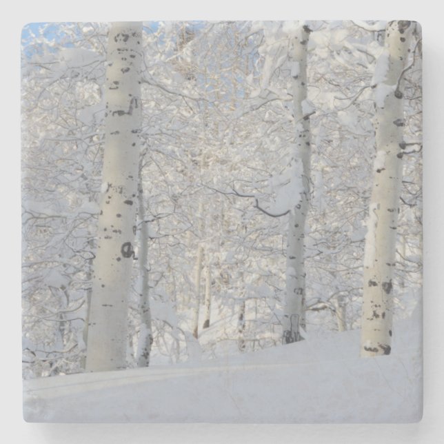 Snow-Covered Aspens, Beartrap-Desolation Ridge Stone Coaster (Front)