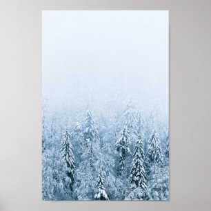 Snow covered beech spruce forest in fog poster