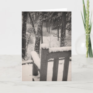 Snow Covered Benches Card