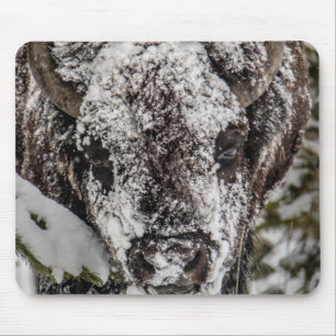 Snow-Covered Bison Yellowstone Mouse Pad