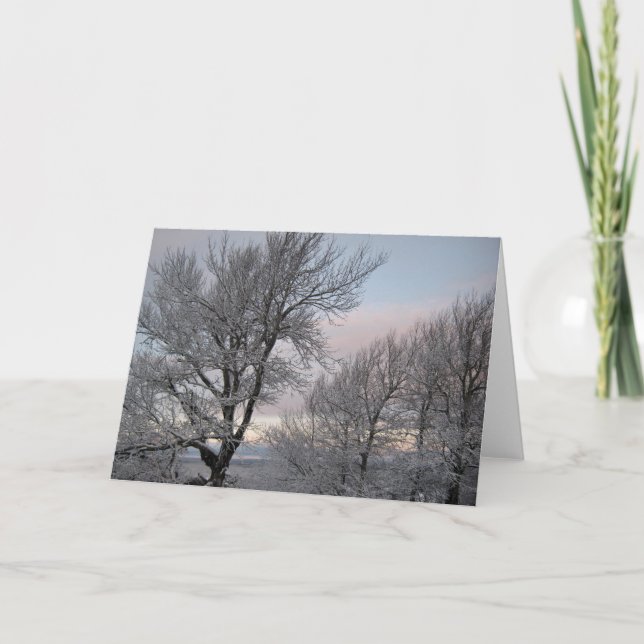 Snow Covered Branches Card (Front)