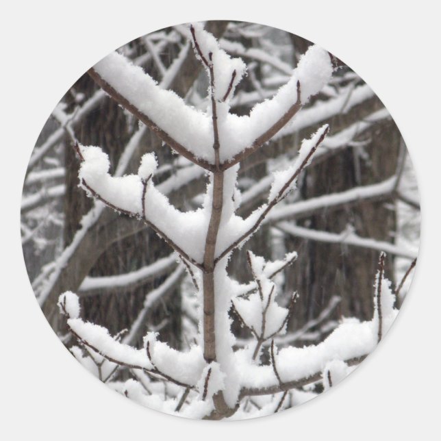 Snow-covered Branches Classic Round Sticker (Front)