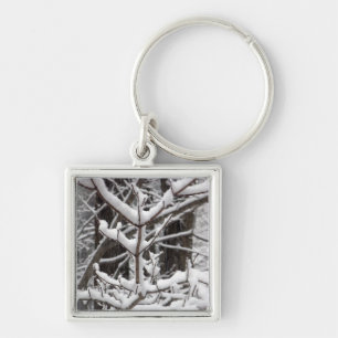 Snow-covered Branches Key Ring