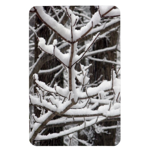 Snow-covered Branches Magnet (Vertical)